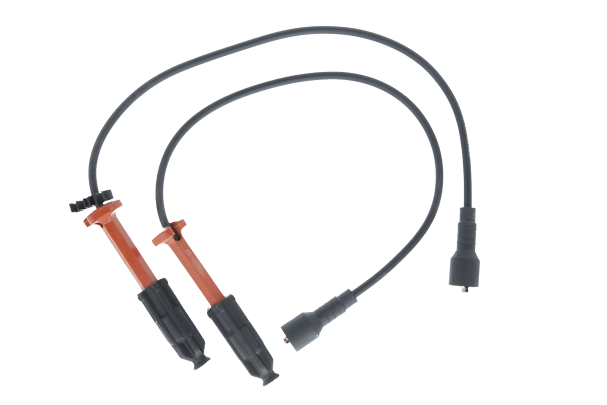 Image PP_Ignition Leads